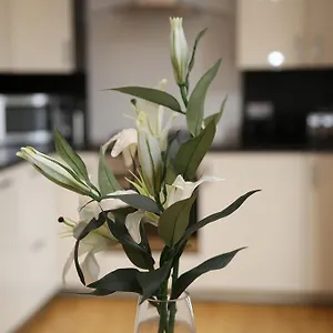  Apartment Dalry House United Kingdom